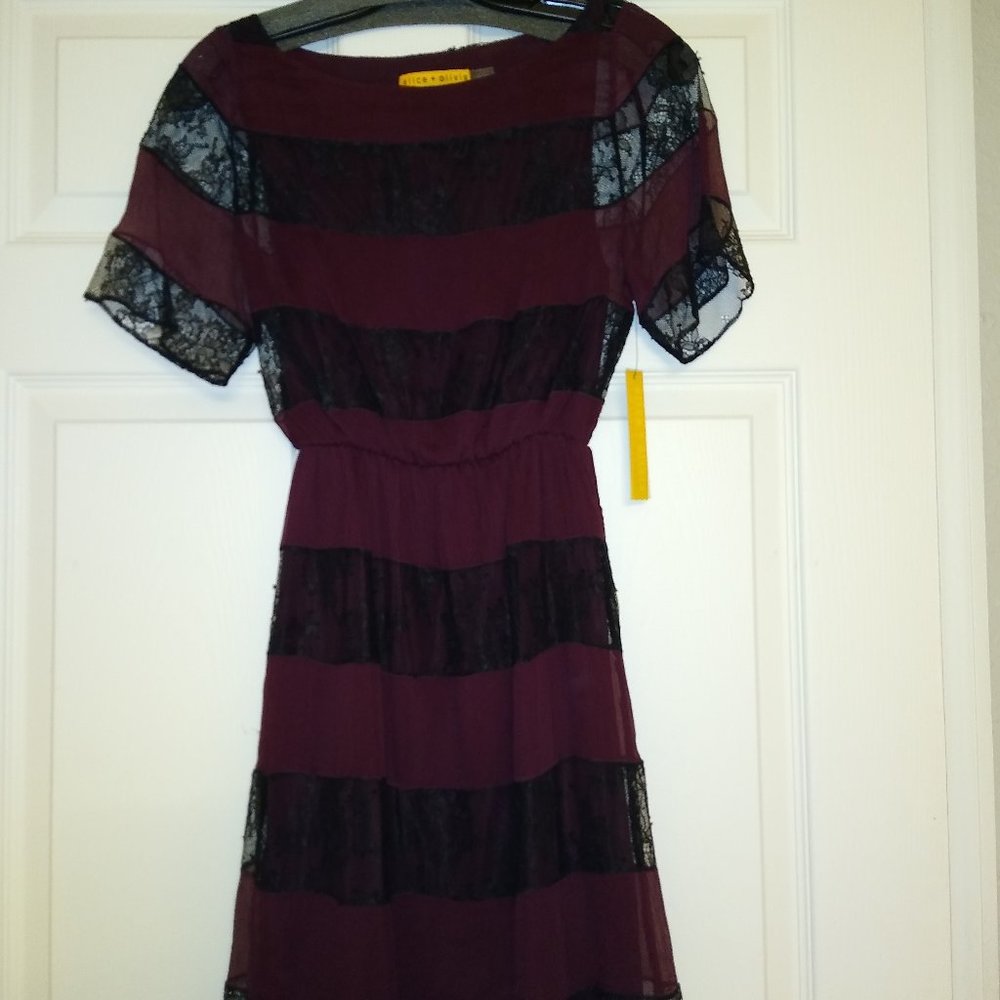 Alice & Olivia Lace Striped Dress Szie XS